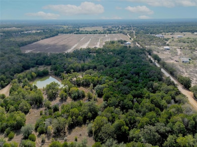 TBD Grassyville Rd, Paige, TX 78659 - photo 4