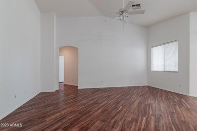 Kingbird (7).jpg-SMALL