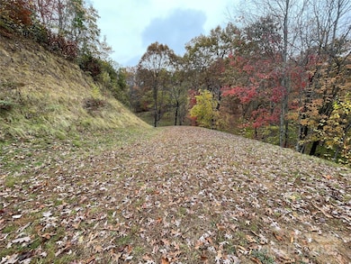 97 Junebug Trail, Waynesville, NC 28785 - photo 3