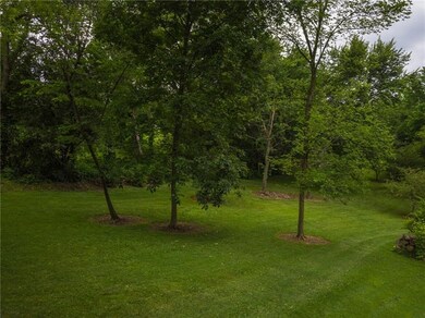 Backyard.
