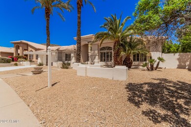 03 - Desert Broom 3162