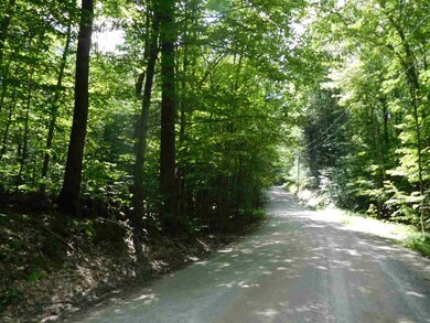 711 Webster Mills Rd, Pittsfield, NH 03263 - photo 5