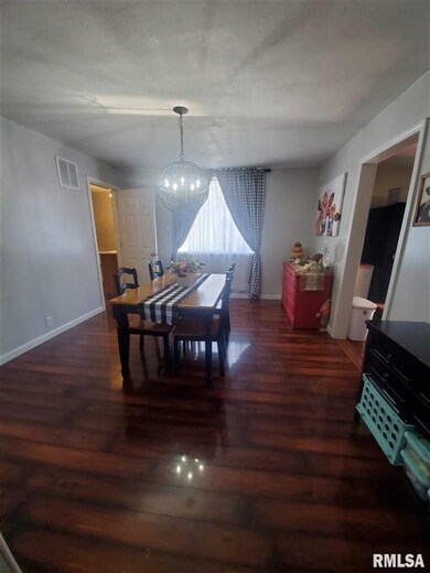 432 E Grant St, Virginia, IL 62691 - photo 7