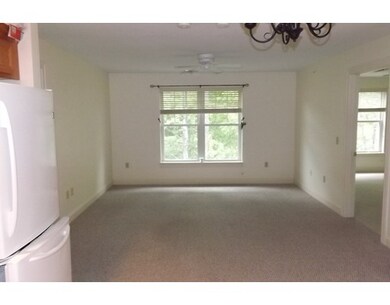 7 Crescent Way unit 316, Sturbridge, MA 01518 - photo 7