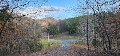 1328 Highway 310, Englewood, TN 37329 - photo 3