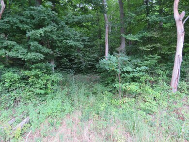 4410 Highway 70 E, Cookeville, TN 38506 - photo 5