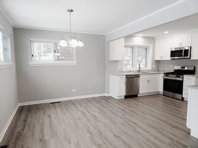 1904 S Fairview Ave, Park Ridge, IL 60068 - photo 5