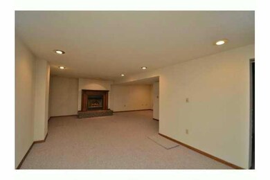 Other. Lower Level Family Room w/ Fireplace