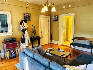 20 Worcester Square unit 4, Boston, MA 02118 - photo 3