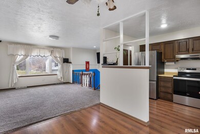 1318 N Zenith Ave, Davenport, IA 52804 - photo 6