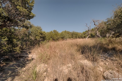 354 Ledgeview Dr, Canyon Lake, TX 78133 - photo 6