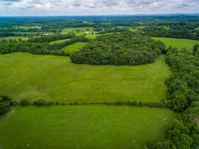 52 AC Johnson Rd, Cookeville, TN 38506 - photo 3