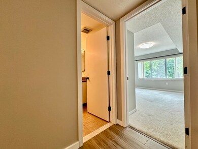 Place Lane unit 245, Woburn, MA 01801 - photo 5
