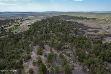 dji_fly_20250627_093246_787_175103872703