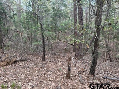 000 County Road 263, Tyler, TX 75707 - photo 3