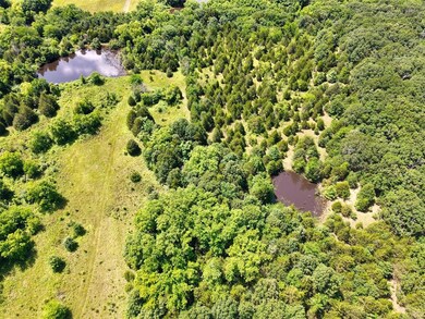 0000 Ew 1210 Rd, Wewoka, OK 74884 - photo 7