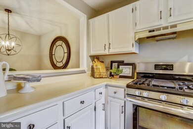 10000 Oakton Terrace Rd, Oakton, VA 22124 - photo 6