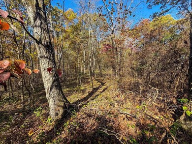 0 E Little Forest Run Rd, Reedsville, OH 45772 - photo 5