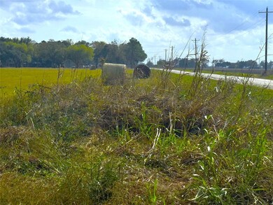 TBD County Road 321, Louise, TX 77455 - photo 5