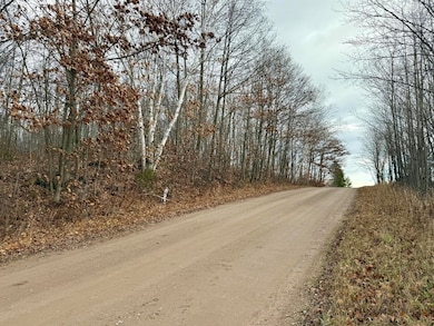 0 Lecoy Rd, Sugar Island Township, MI 49783 - photo 7