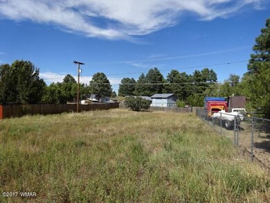 1020 E Stratton, Show Low, AZ 85901 - photo 4