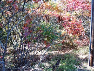 100 Shelton Dr, Eureka Springs, AR 72632 - photo 5