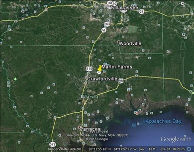 Lot 4 Martin Farms Rd, Crawfordville, FL 32327 - photo 3
