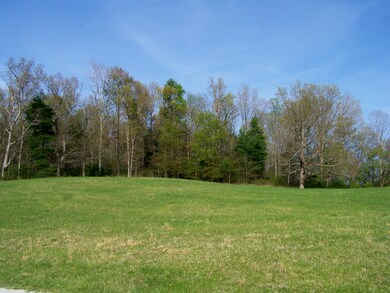 View Toward the Wooded Hilltop