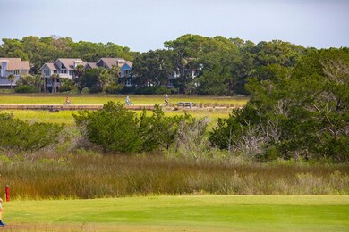 818 Treeloft Trace, Johns Island, SC 29455 - photo 3