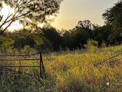 650 Shady Hill Ln, Springtown, TX 76082 - photo 4