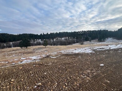 Lot 21 Summit Pass unit Dakota Highland Esta, Whitewood, SD 57793 - photo 3