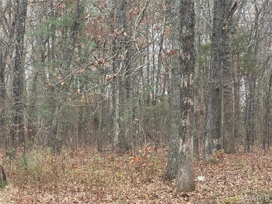 18602 N Hwy, Middle Brook, MO 63656 - photo 6