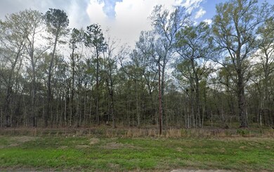 Road 2901, Cleveland, TX 77327 - photo 3