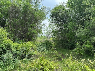 Tbd Lcr 628 Groesbeck unit TX 76642, Lake Limestone, TX 76642 - photo 6