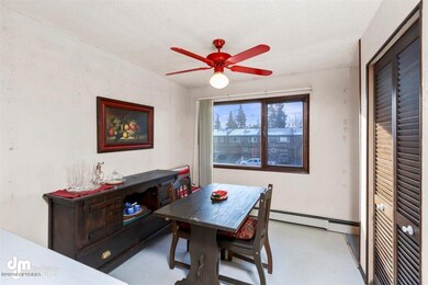 Dining Room South Facing Window