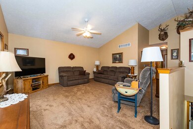 RN5_0203
