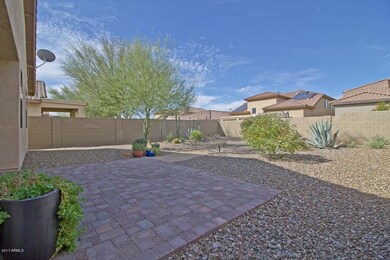 Oversized Backyard