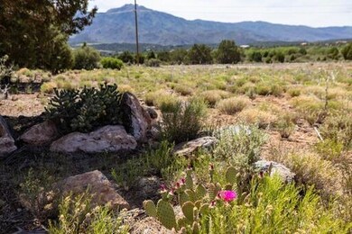 0 Badger Way unit lot 369, New Harmony, UT 84757 - photo 3