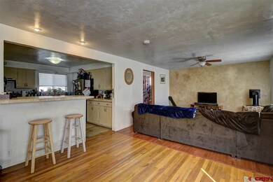 0 Eastlawn, Durango, CO 81301 - photo 5