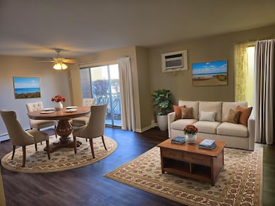 4712 W 107th St unit 1D, Oak Lawn, IL 60453 - photo 5