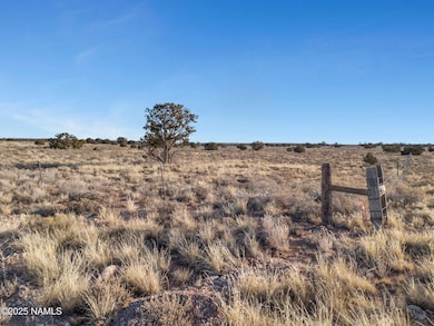 2-web-or-mls-TimberCreekImagery-2