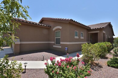 1173 W Popcorn Tree Ave, San Tan Valley, AZ 85140 - photo 3