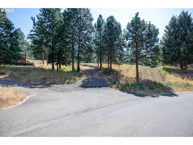 1251 SW Thornton Dr, Whitesalmon, WA 98672 - photo 5