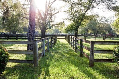 Paddocks