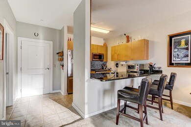 2007 Clipper Park Rd unit 324, Baltimore, MD 21211 - photo 5