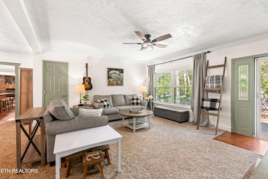 110 Beech Fork Ln, Wartburg, TN 37887 - photo 5