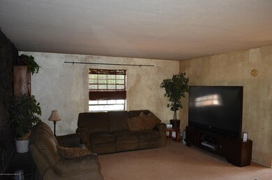 2401 Ridgeview Dr, Farmington, NM 87401 - photo 4