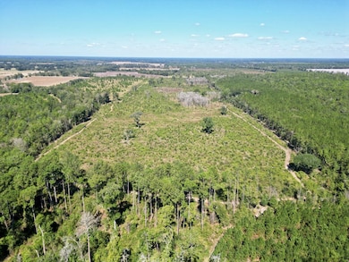 0 Cal Thomas Rd, Whigham, GA 39897 - photo 3