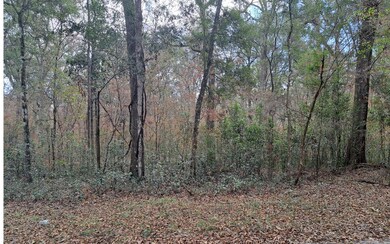 TBD Bumble St, Fort White, FL 32038 - photo 7