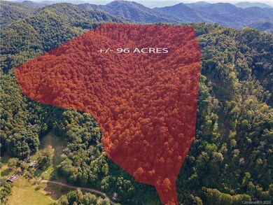 99999 Indian Creek Rd, Price Creek, NC 28714 - photo 5